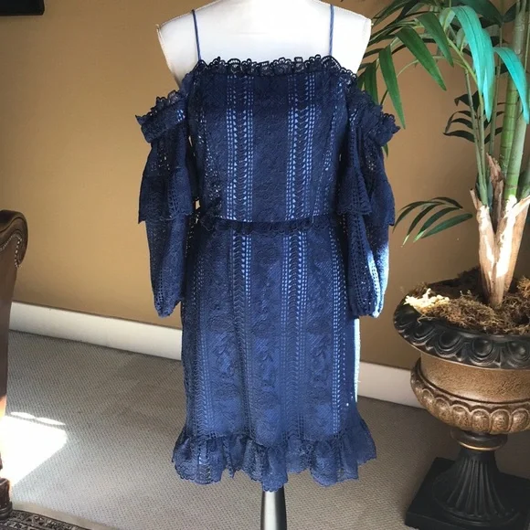 Parker Dresses | Parker Lace Dress, Size 4 | Color: Blue | Size: 4 | Houstonchicgirl's Closet